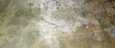 moisture on garage floor causes efflorescence