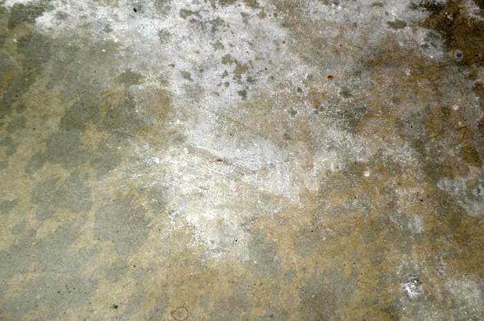 How To Moisture Test Your Concrete Or Garage Floor All Garage Floors