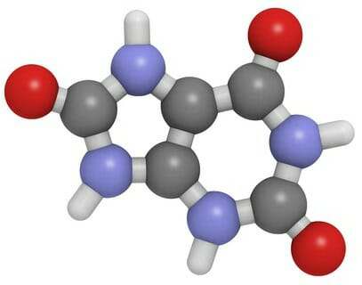 uric-acid-crystals-pet-urine-odor